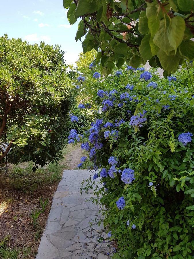 2 Appartements Calmes Fréjus Esterno foto